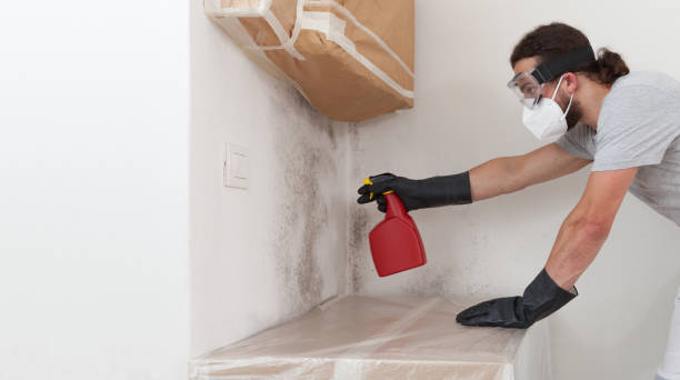 Professional Mold Remediation technician working in Hazlet, NJ